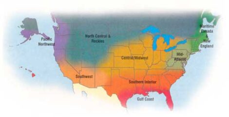 Seasonal Tips for Gardening Zones December 2001-January 2002 Image